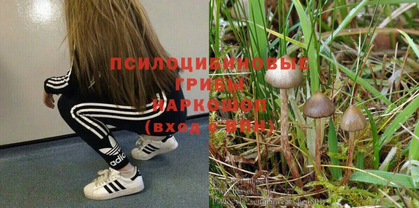 гашиш Абинск
