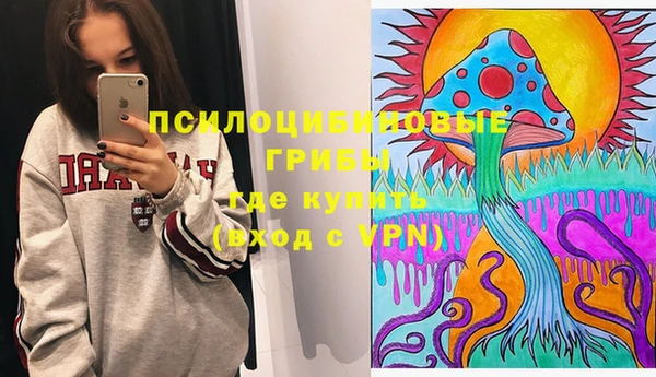 дживик Алексеевка