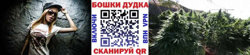МАРИХУАНА семена  цены   ОМГ ОМГ зеркало  Иннополис 